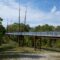 2025 Summer in Markham: Festivals, Events, Nature and Family Fun & More