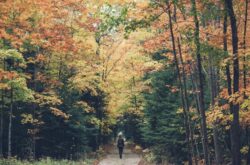 25 Hikes to Enjoy Fall Colours in Ontario