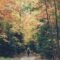 25 Hikes to Enjoy Fall Colours in Ontario