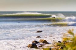 25 Ideas for a Summer Staycation in Nova Scotia