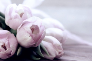 25 Mother's Day Flower & Gift Delivery Options in Vancouver