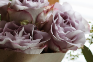 25 Mother’s Day Flower & Gift Delivery/Pickup Options in Ottawa