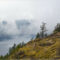 25 Must Visit Nature Attractions & Parks In and Around Victoria