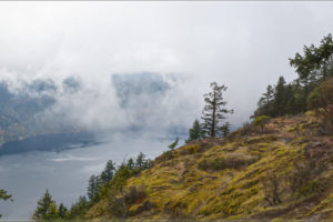 25 Must Visit Nature Attractions & Parks In and Around Victoria