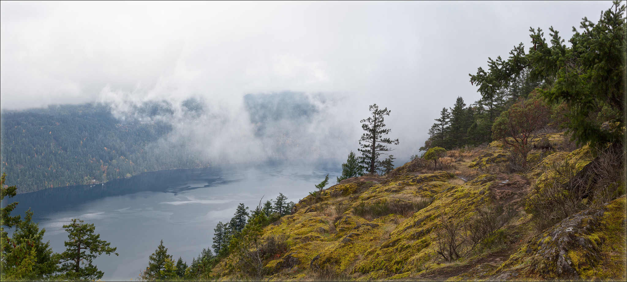 25 Must Visit Nature Attractions & Parks In and Around Victoria