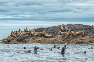 25 Must Visit Nature Parks in British Columbia
