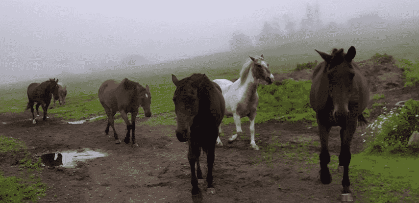25 Outdoor Adventures in Nova Scotia