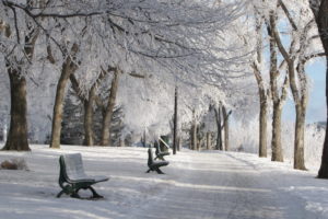 25 Outdoor Winter Activities in Saskatoon 1