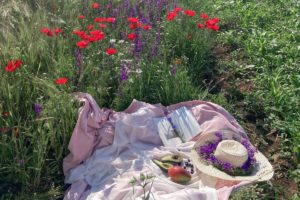 25 Parks to Enjoy a Picnic in and Around Vancouver
