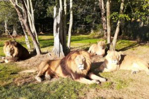 25 Places to Watch Wildlife in Nova Scotia