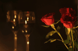 50+ Restaurants For 2026 Valentine's Day Celebrations in Toronto