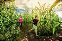 20+ Summer Activities and Adventures in Sturgeon County