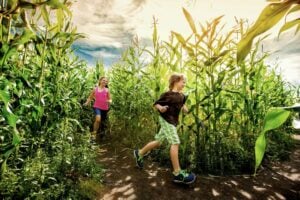 20+ Summer Activities and Adventures in Sturgeon County