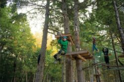 25 Summer Activities in Annapolis Valley