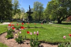 25 Things to Do During Spring In Halifax