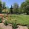 25 Things to Do During Spring In Halifax
