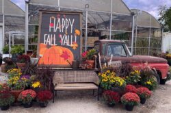 25+ Things to Do This Fall in Durham Region - 2026