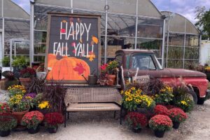 25+ Things to Do This Fall in Durham Region - 2025
