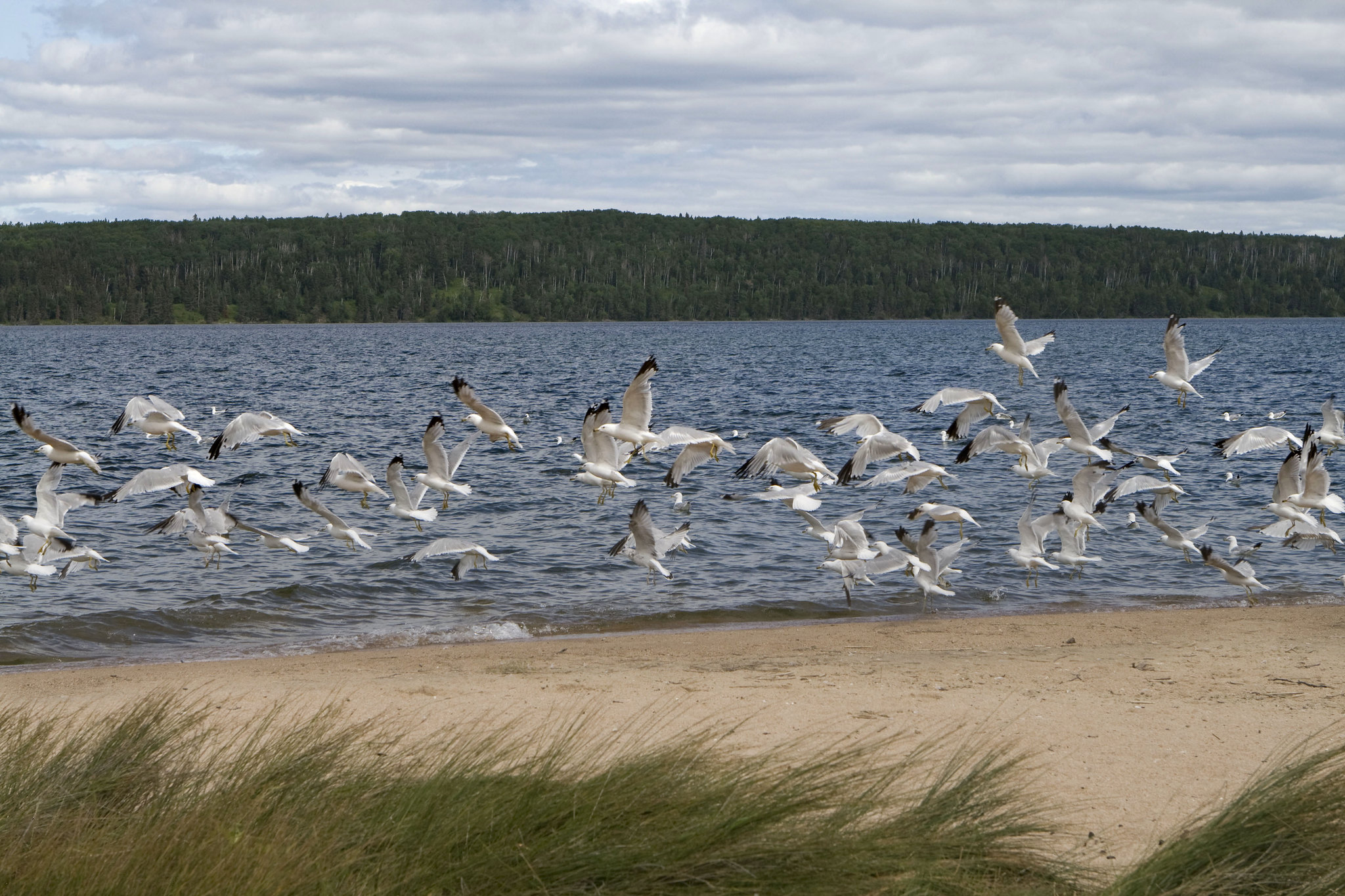 25 Things to Do at During Summer at Waskesiu and Prince Albert National Park