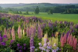25 Things to Do during Spring in PEI