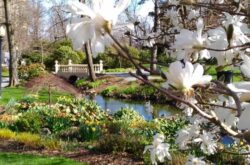 Things to Do in Halifax During this Victoria Day - May Long Weekend - 2026