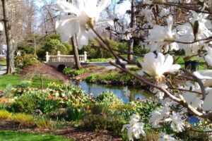 Things to Do in Halifax During this Victoria Day - May Long Weekend - 2026