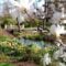 Things to Do in Halifax During this Victoria Day - May Long Weekend - 2026