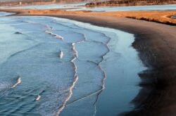 25 Things to Do in and Around Lawrencetown
