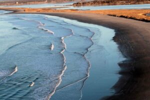 25 Things to Do in and Around Lawrencetown