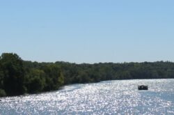 25 Things to Do in Brantford This Summer