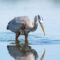 25 of the Best Alberta Provincial Parks For Birdwatching
