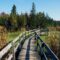 25 of the Best Hikes in and Around Ottawa