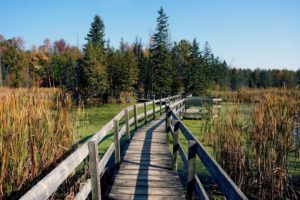 25 of the Best Hikes in and Around Ottawa