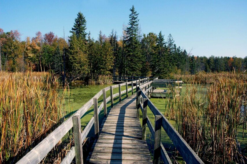 25 of the Best Hikes in and Around Ottawa