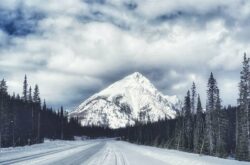 25 of the Best Things to Do in Alberta This February