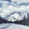 25 of the Best Things to Do in Alberta This February