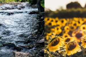 25 of the Best Things to Do in Lanark County This Summer