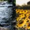 25 of the Best Things to Do in Lanark County This Summer
