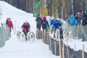 Free Things to Do in Calgary in March