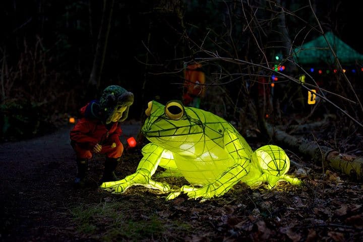 [ID: a photo of a large green frog paper lantern during the Night Quest.]