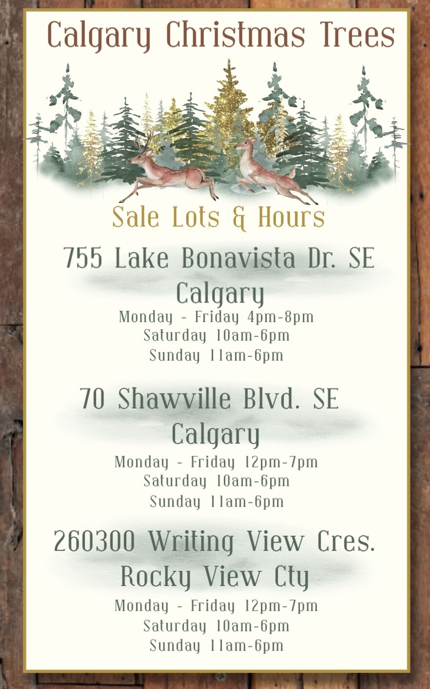 How to tell if your christmas tree is drying