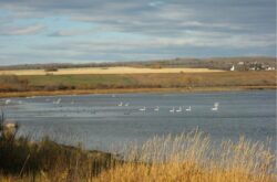 4 Reasons to Visit Saskatoon Island Provincial Park