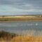 4 Reasons to Visit Saskatoon Island Provincial Park