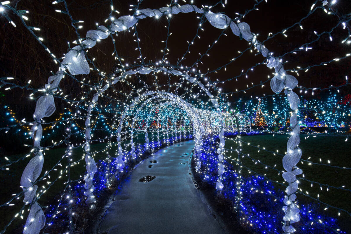 Vancouver Christmas Lights Karaoke Trolley Tour