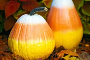 Pumpkin Painting Workshop (Ages 18+)