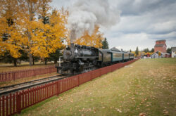 5 Train Tours to Explore Alberta This Summer