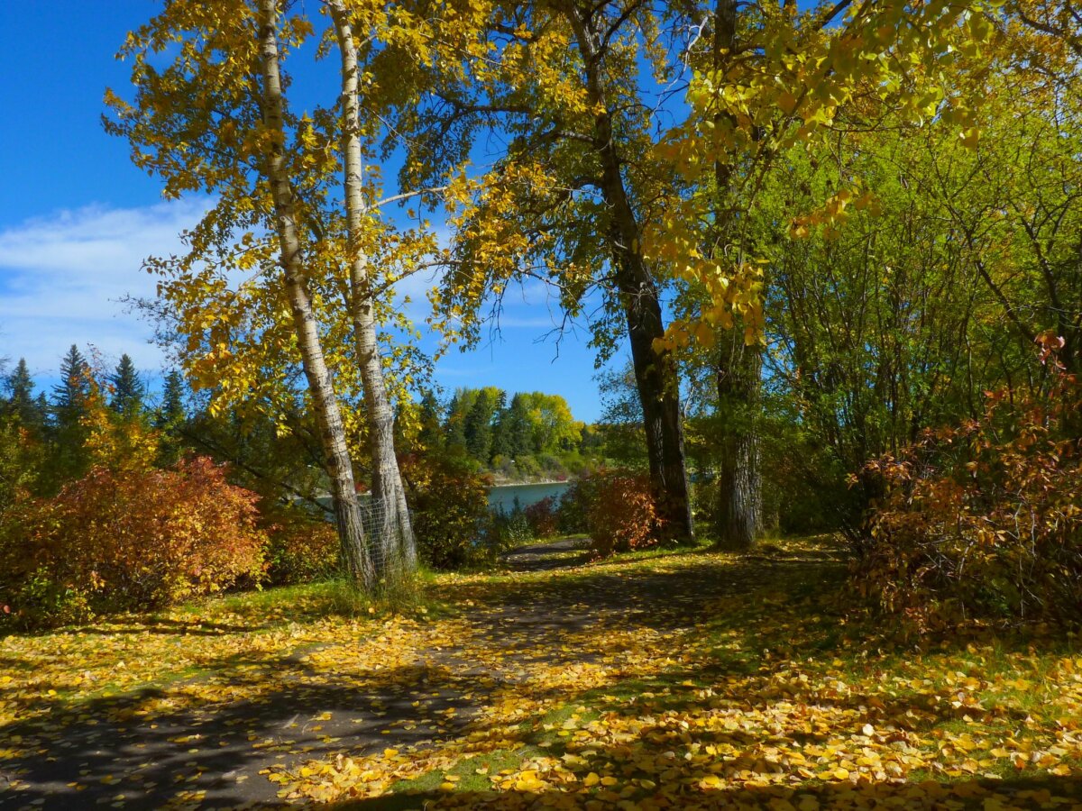 5 of the Best Parks For a Fall Picnic in Calgary