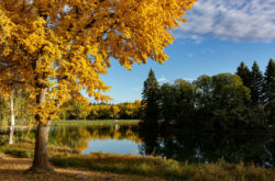 5 of the Best Parks For a Fall Picnic in Edmonton