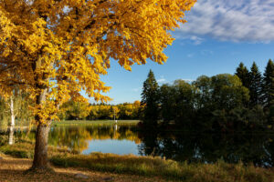 5 of the Best Parks For a Fall Picnic in Edmonton