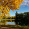 5 of the Best Parks For a Fall Picnic in Edmonton